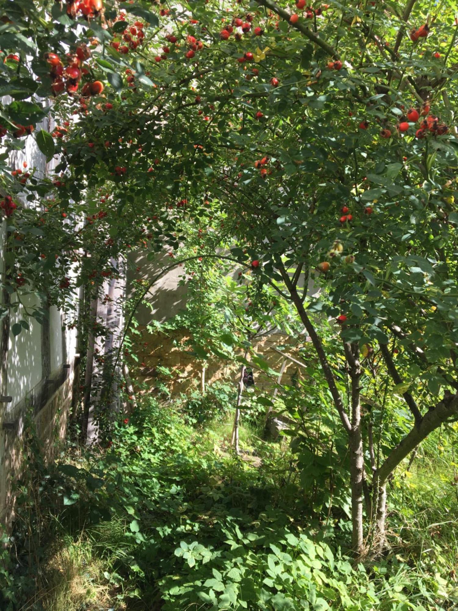 Cherrytree Cottage 1840 Heimbach Εξωτερικό φωτογραφία