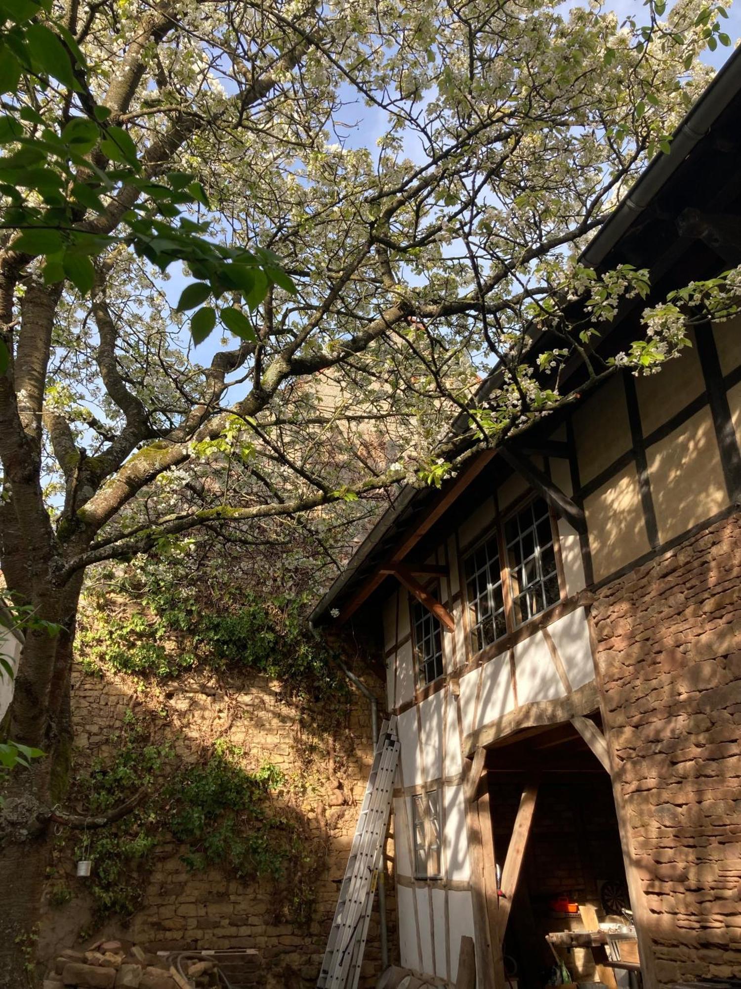 Cherrytree Cottage 1840 Heimbach Εξωτερικό φωτογραφία