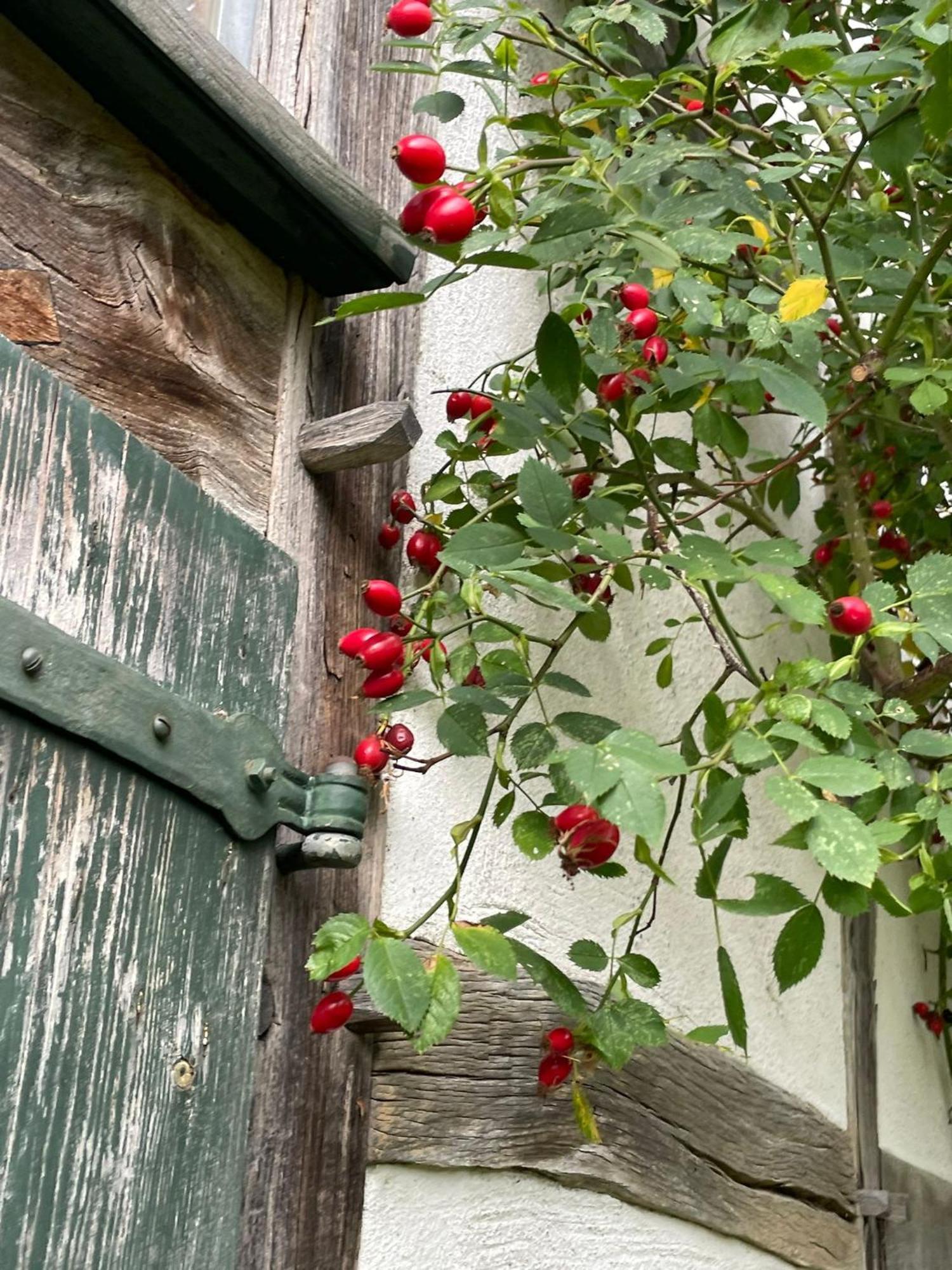 Cherrytree Cottage 1840 Heimbach Εξωτερικό φωτογραφία